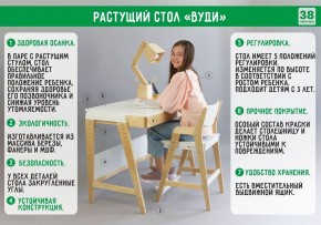 Комплект растущий стол и стул с чехлом 38 попугаев «Вуди» (Белый, Белый, Клетка) в Верхней Салде - verhnjaja-salda.mebel-74.com | фото