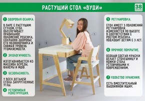 Комплект растущий стол и стул с чехлом 38 попугаев «Вуди» (Серый, Береза, Салют) в Верхней Салде - verhnjaja-salda.mebel-74.com | фото