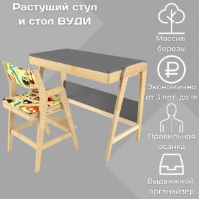 Комплект растущий стол и стул с чехлом 38 попугаев «Вуди» (Серый, Без покрытия, Монстры) в Верхней Салде - verhnjaja-salda.mebel-74.com | фото