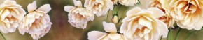 Кухонный фартук Цветы 066 МДФ матовый (3000) Flowers в Верхней Салде - verhnjaja-salda.mebel-74.com | фото