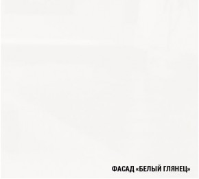 ТЕРЦИЯ Кухонный гарнитур Экстра 5 (3000 мм) в Верхней Салде - verhnjaja-salda.mebel-74.com | фото