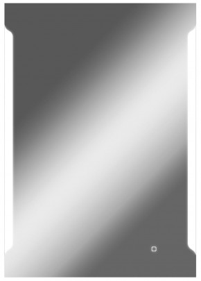 Зеркало Оттава 1000х700 с подсветкой Домино (GL7028Z) в Верхней Салде - verhnjaja-salda.mebel-74.com | фото